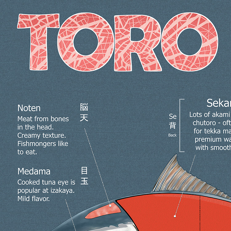 Toro Sushi Poster - "Toro Anatomy" Bluefin Tuna Cuts & Sushi Types