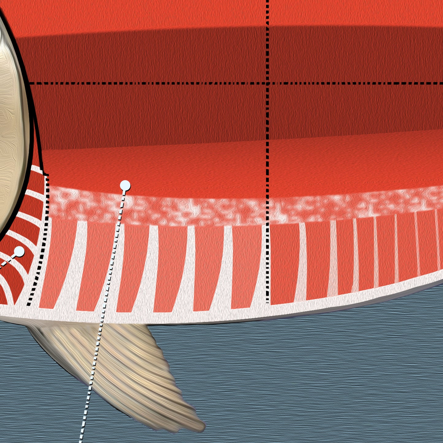 Bluefin Tuna Sushi Poster - Hon Maguro - 24X18