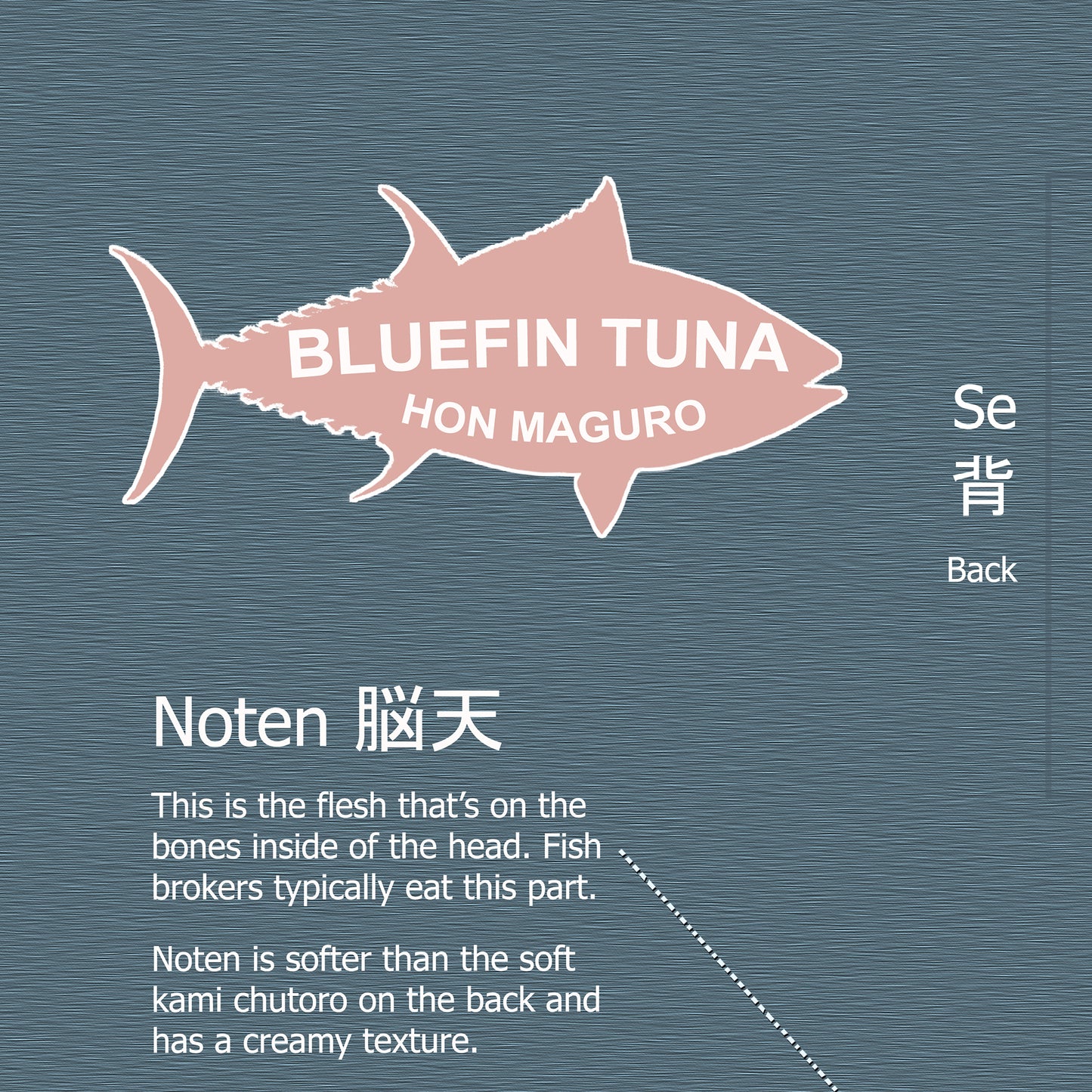 Bluefin Tuna Sushi Poster - Hon Maguro - 24X18