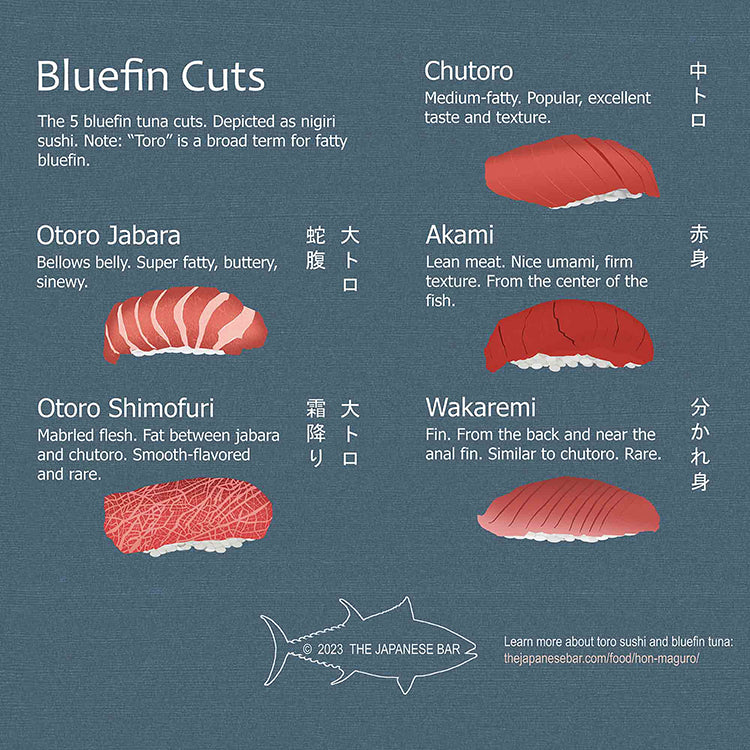 Toro Sushi Poster - "Toro Anatomy" Bluefin Tuna Cuts & Sushi Types